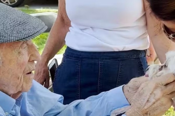 Idoso com Alzheimer comemora 100 anos com 200 cães convidados