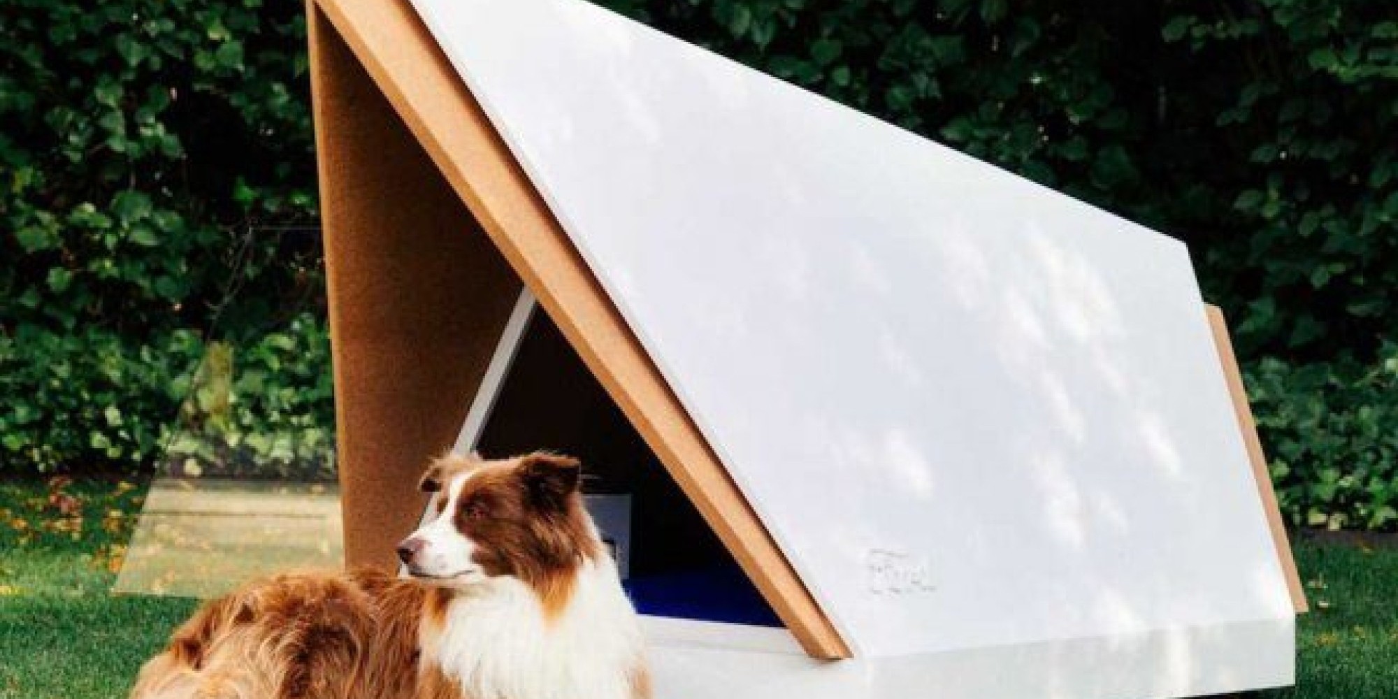 Ford projetou casinha de cachorro que isola o ruído de foguetes