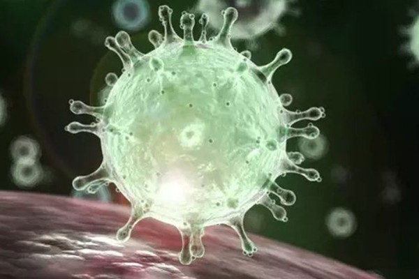 Um dos objetivos é conhecer a evolução (velocidade) que o coronavírus vem se alastrando