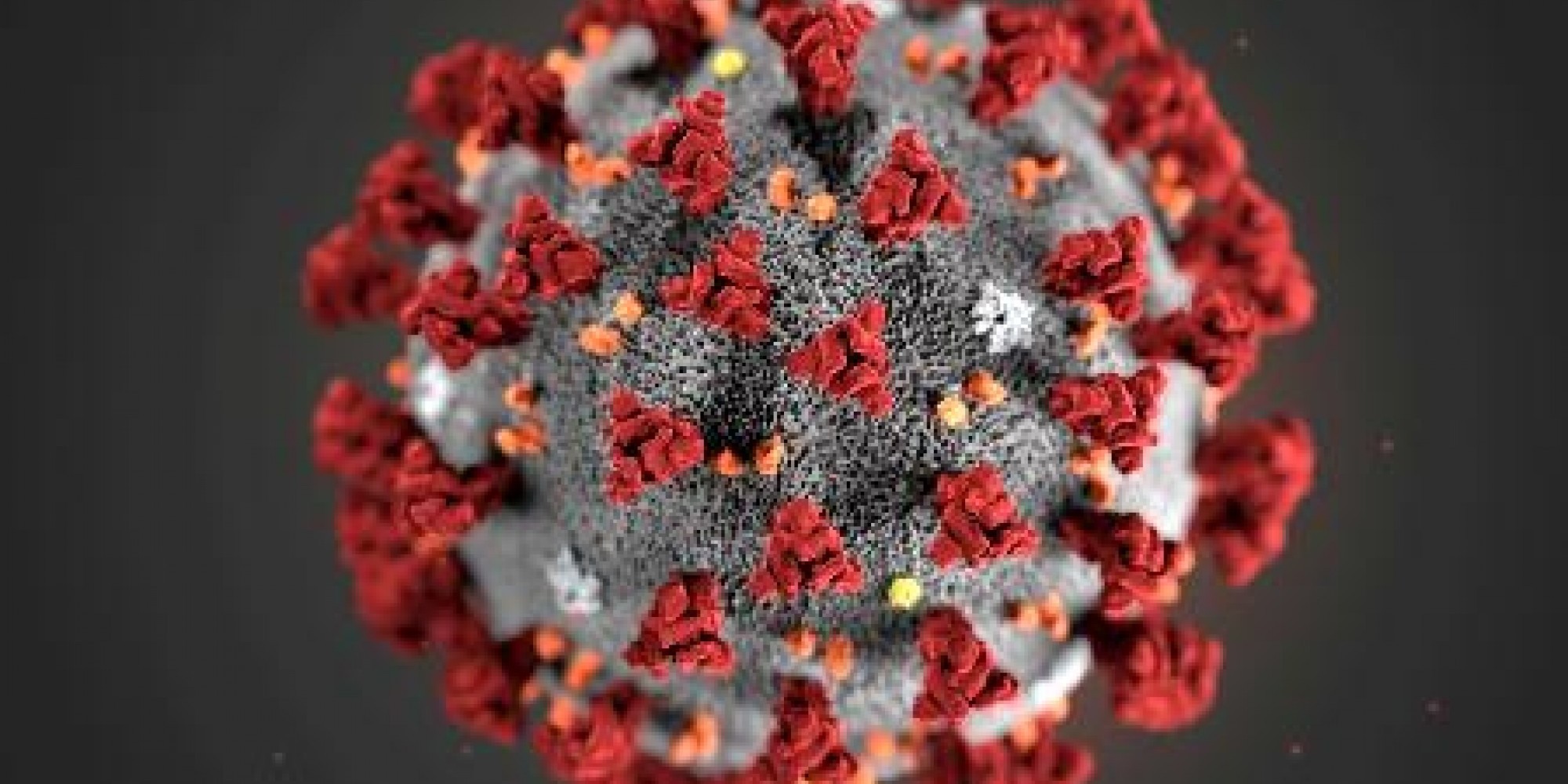 Óbitos no Vale chega a marca de 110 