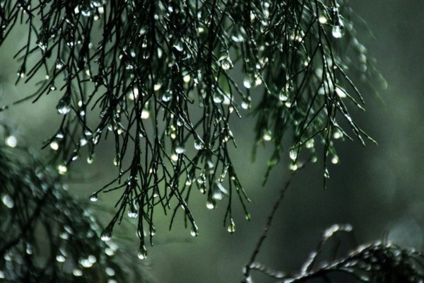 Chuva deve ser menor nesta quarta no Rio Grande do Sul, após ciclone se afastar em direção ao alto-mar 