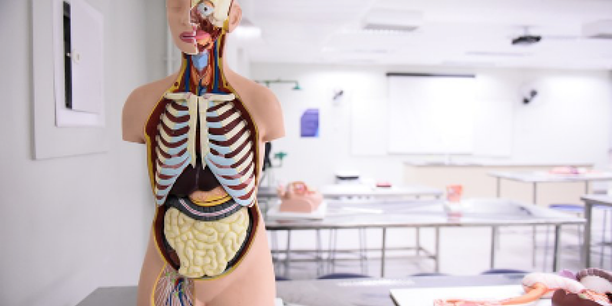 O recurso será utilizado para viabilizar cenários de prática para alunos dos cursos de Medicina O recurso será utilizado para viabilizar cenários de prática para alunos dos cursos de Medicina