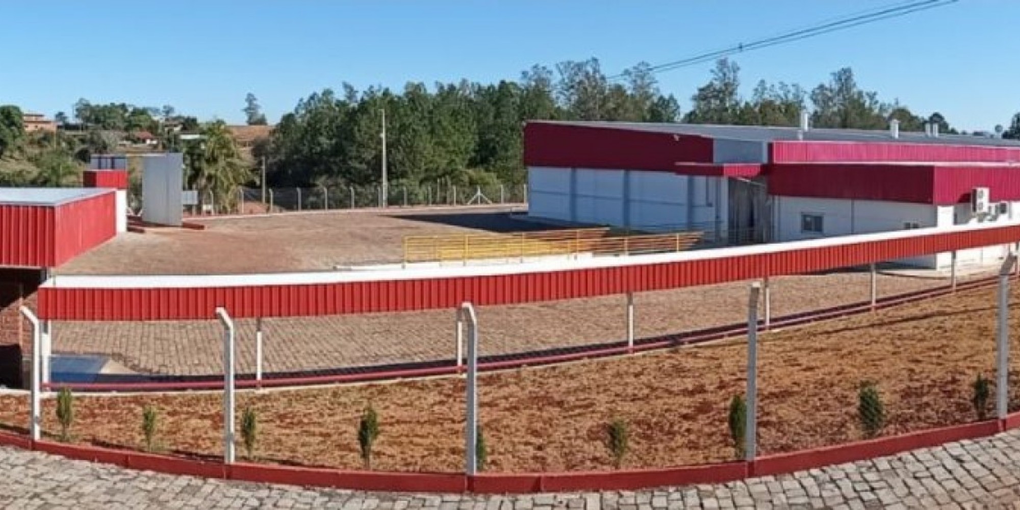 Volume atual é de 175 mil pintinhos/dia, sendo todos os ovos provenientes do Matrizeiro ASA
