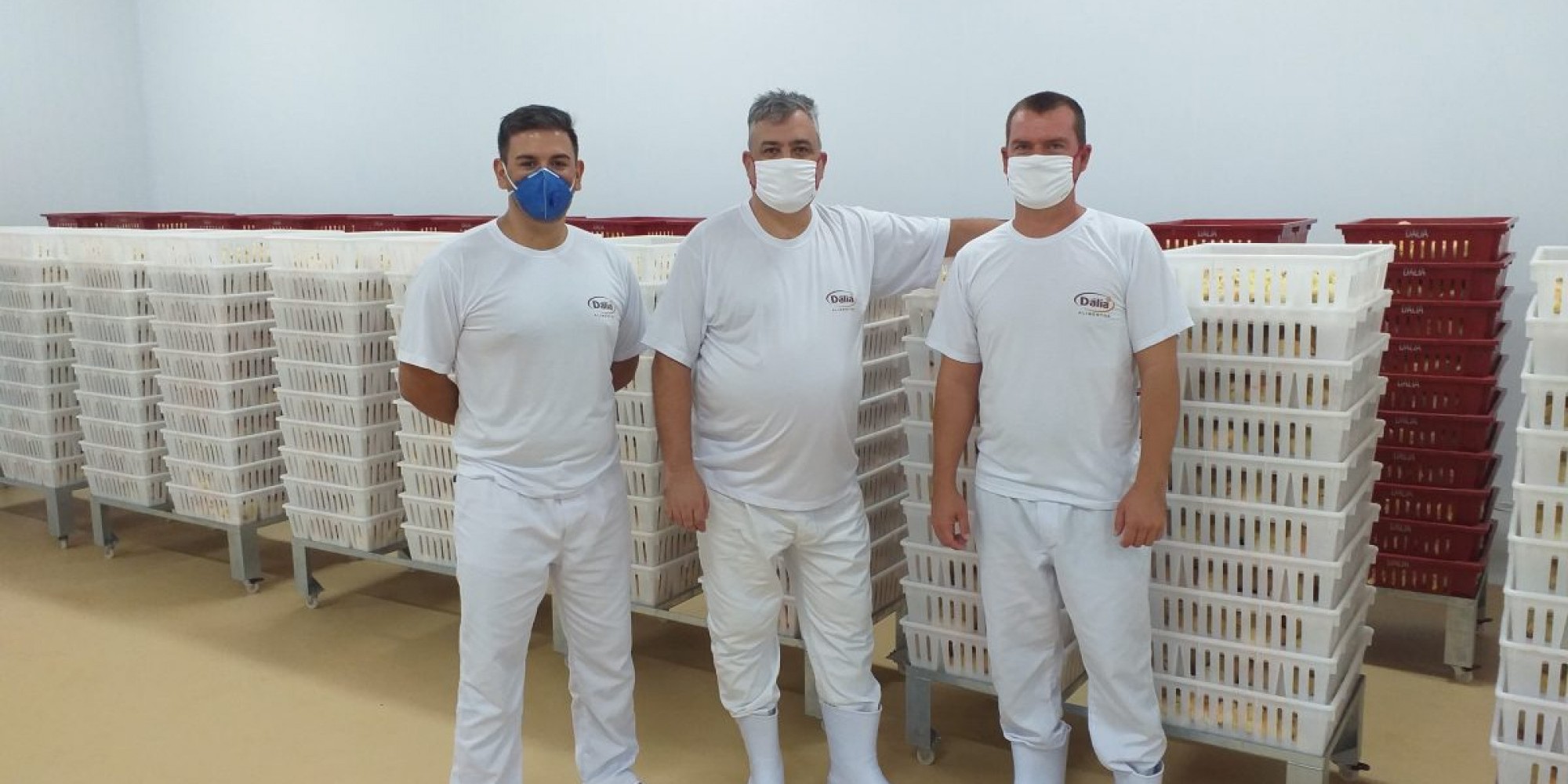 Pintinhos prontos para o transporte até os condomínios Pintinhos prontos para o transporte até os condomínios