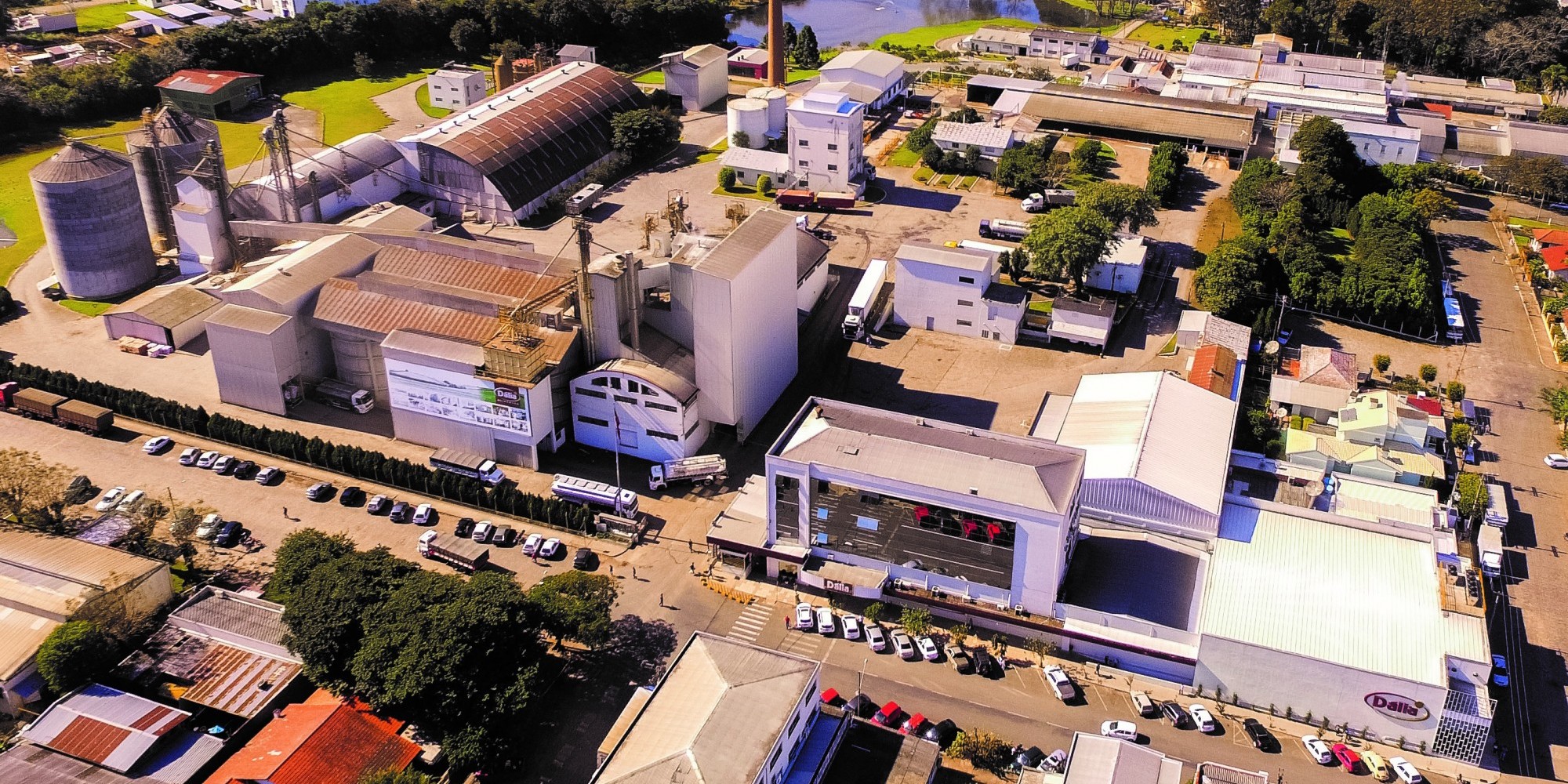 Pela terceira vez consecutiva, Dália recebe Certificado de Uso de Energia Limpa e Renovável