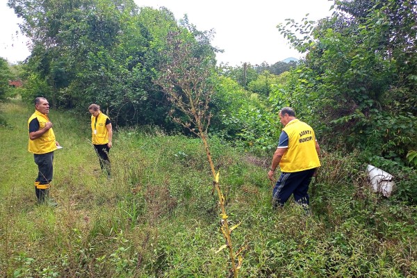 Agentes vistoriam terrenos abandonados