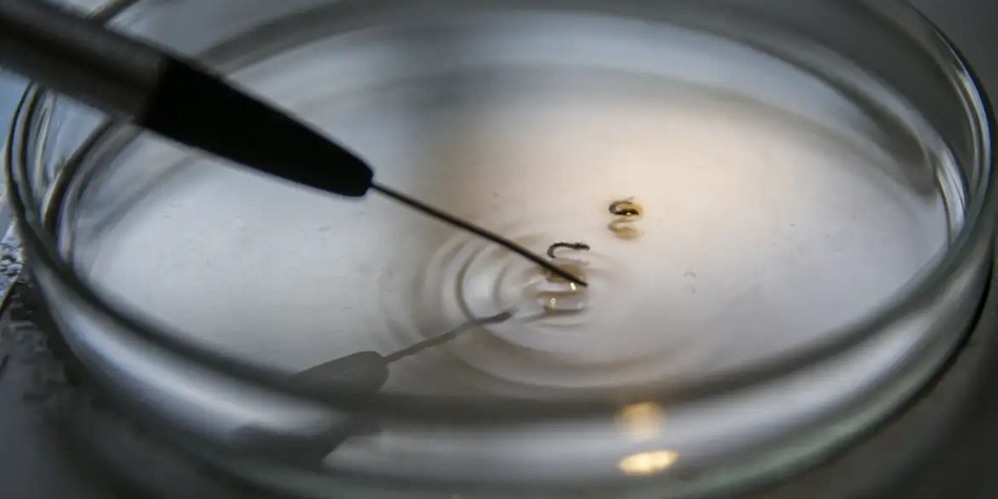 Mais de 1,5 mil óbitos estão em investigação.