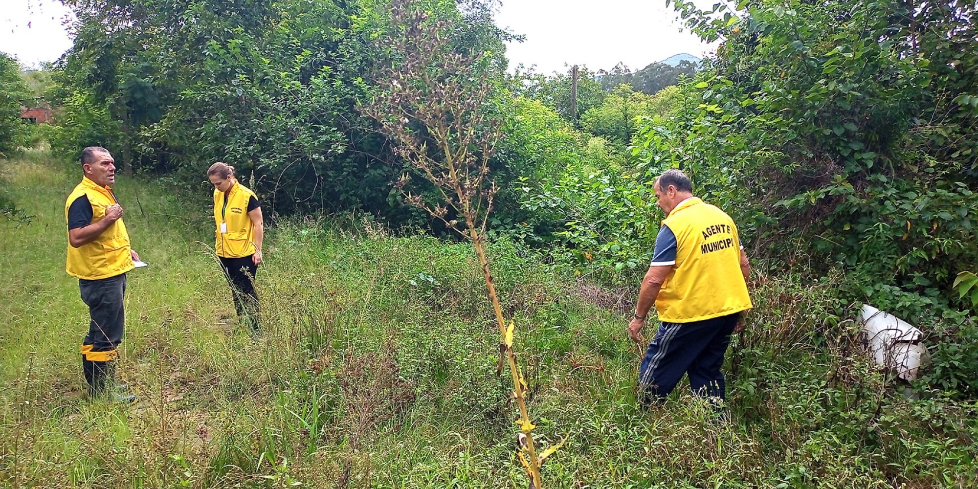 Agentes vistoriam terrenos abandonados