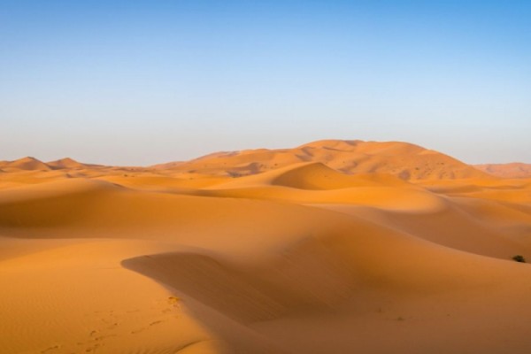 Migrantes morrem de sede ao tentar atravessar o deserto do Chade