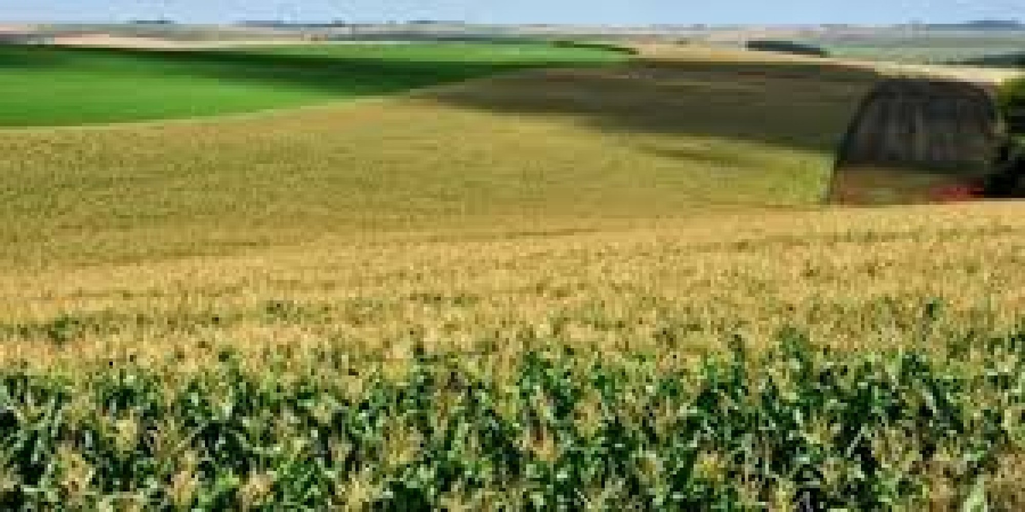 As medidas contemplam pauta elaborada pela secretaria em conjunto com entidades do agro gaúcho As medidas contemplam pauta elaborada pela secretaria em conjunto com entidades do agro gaúcho