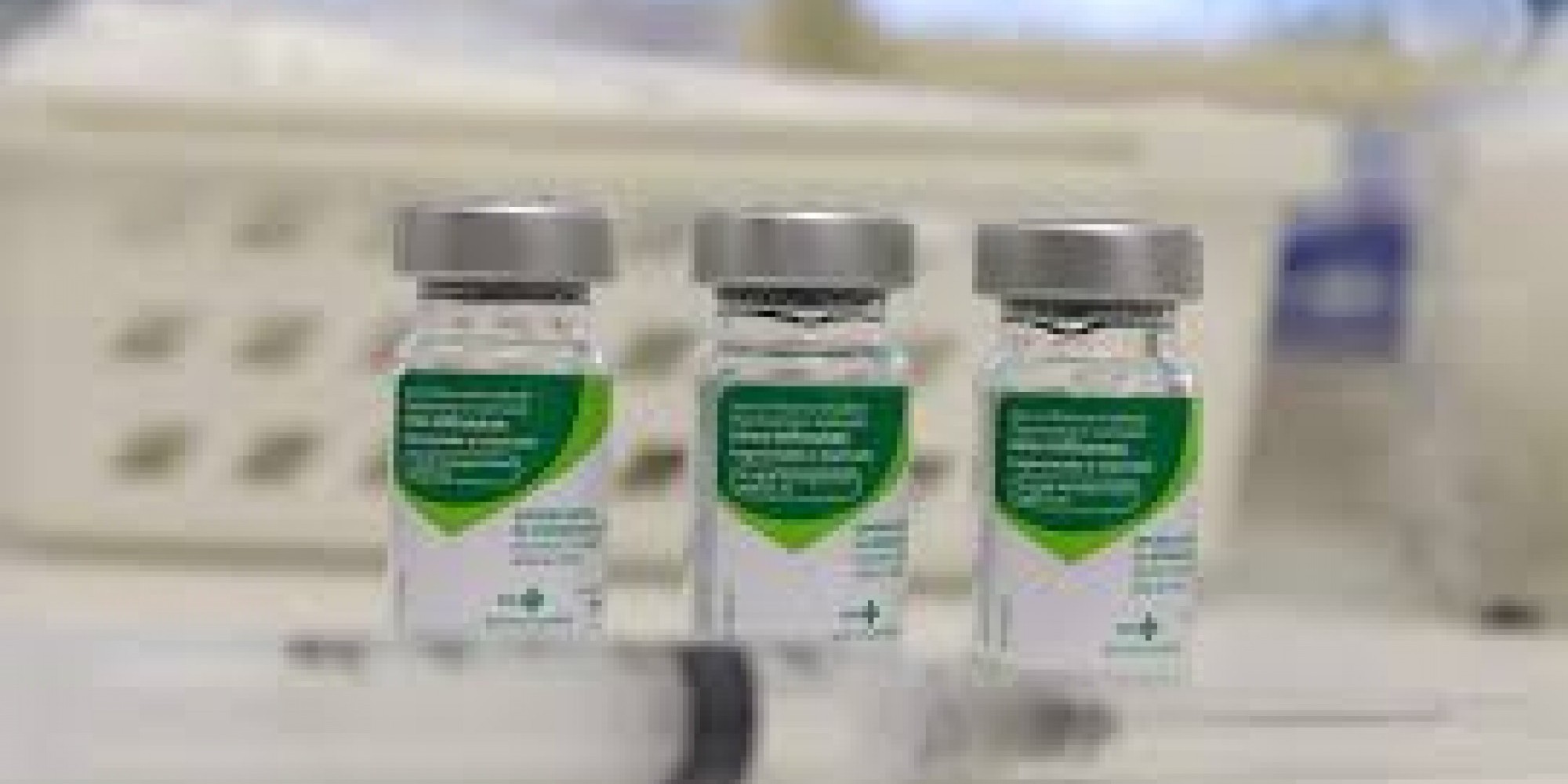 Até 29 de fevereiro, foram registrados 90 casos de influenza A (H1N1) e 6 óbitos no Brasil