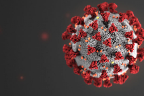 Região tem 22 casos confirmados 