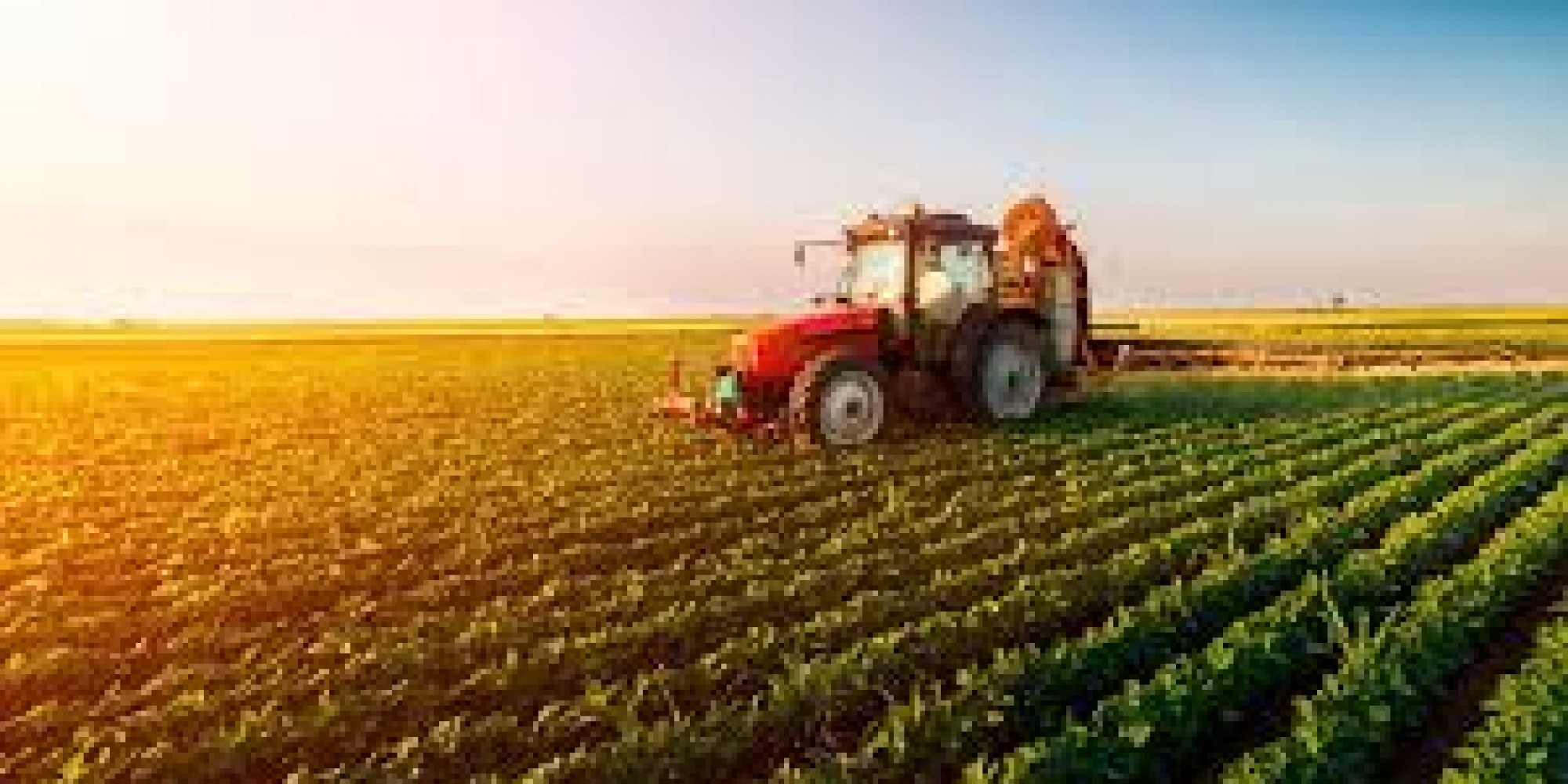 Prorrogação das dívidas de custeio e investimento de produtores rurais é uma das principais medidas Prorrogação das dívidas de custeio e investimento de produtores rurais é uma das principais medidas