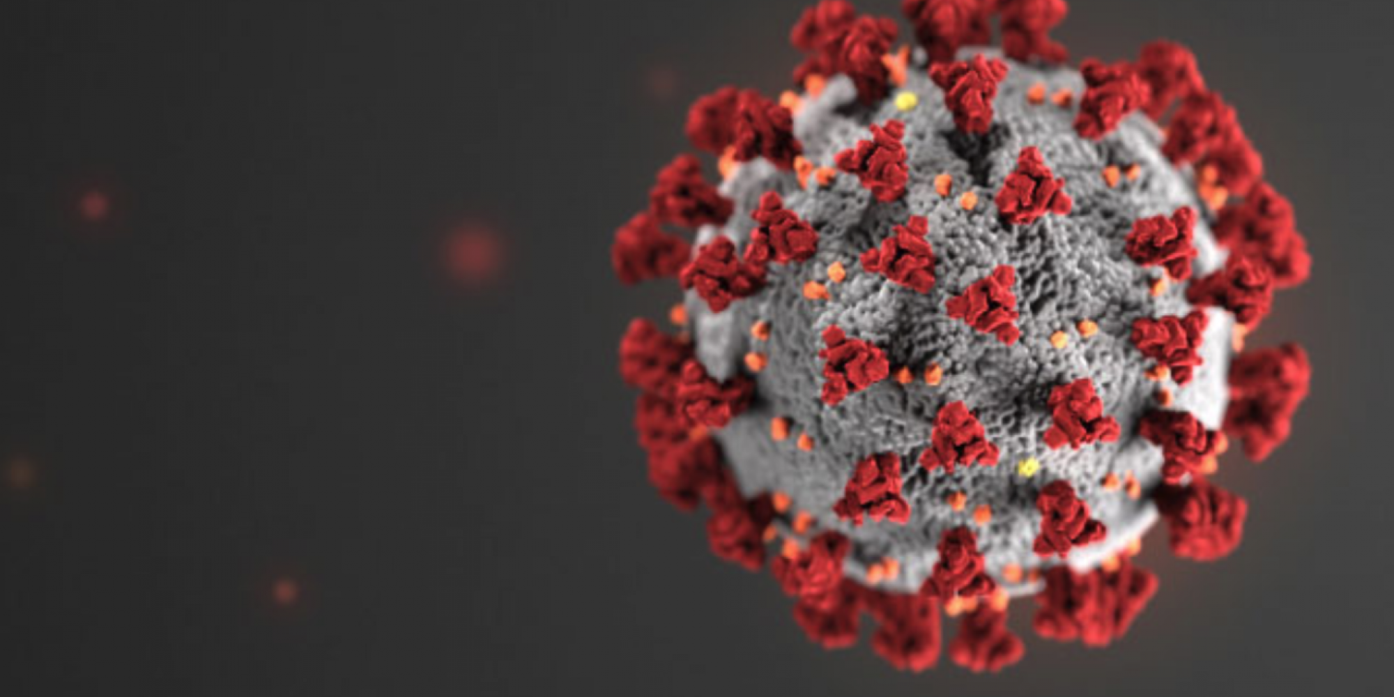 Região tem 22 casos confirmados 