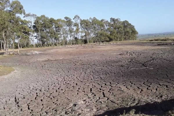 Tendência é que a estiagem deve se agravar ainda mais 