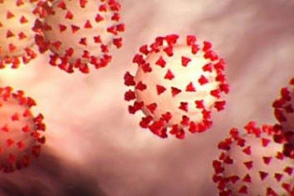  Lacen realizou 232 testes ontem 