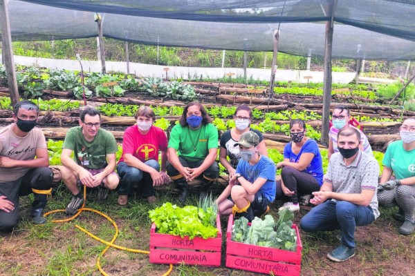 Voluntários se reúnem aos sábados para manutenção da horta e colheita das verduras, temperos e hortaliças