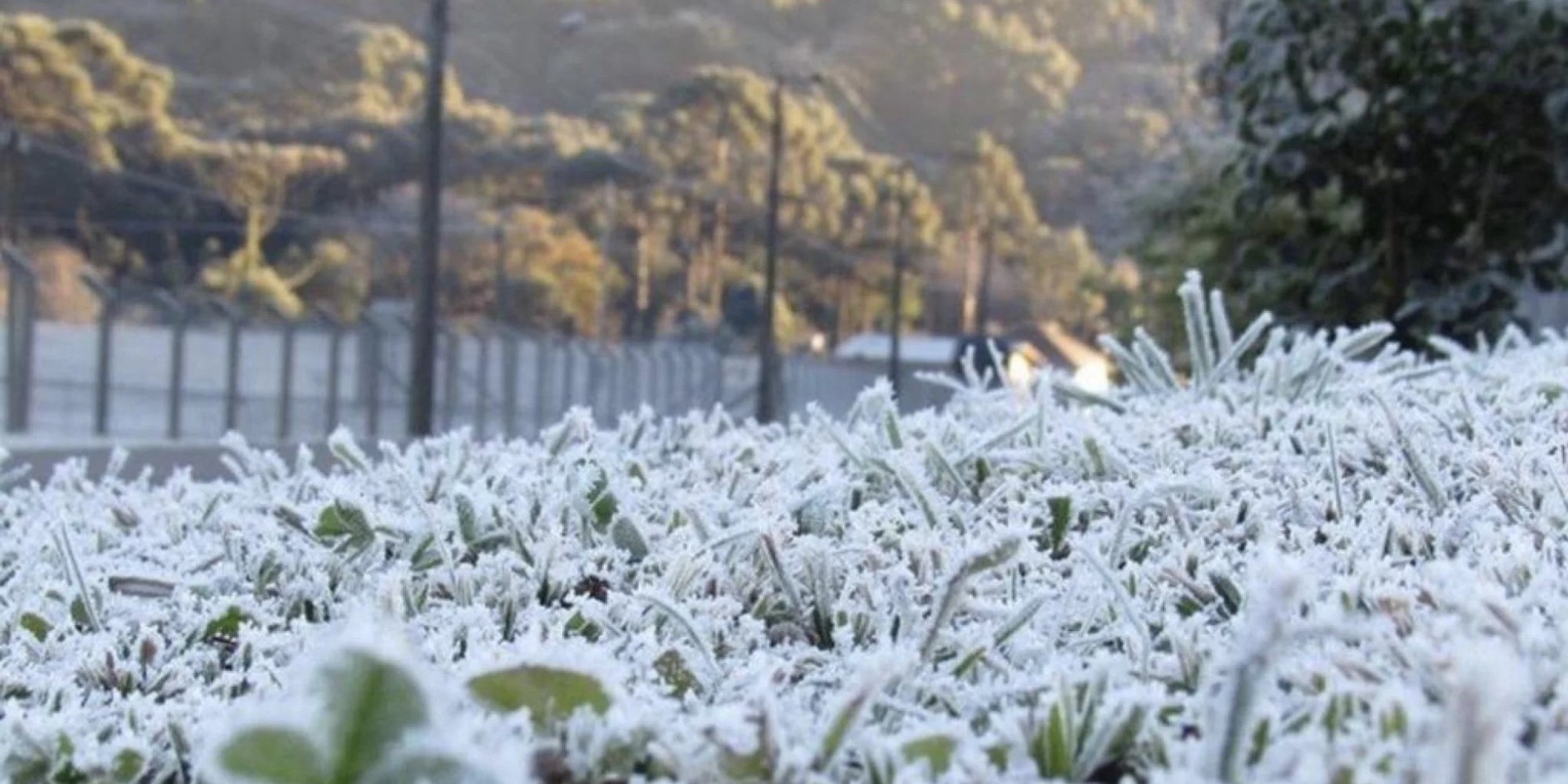 Inverno 2023 será menos rigoroso e mais úmido no RS