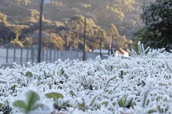Inverno 2023 será menos rigoroso e mais úmido no RS