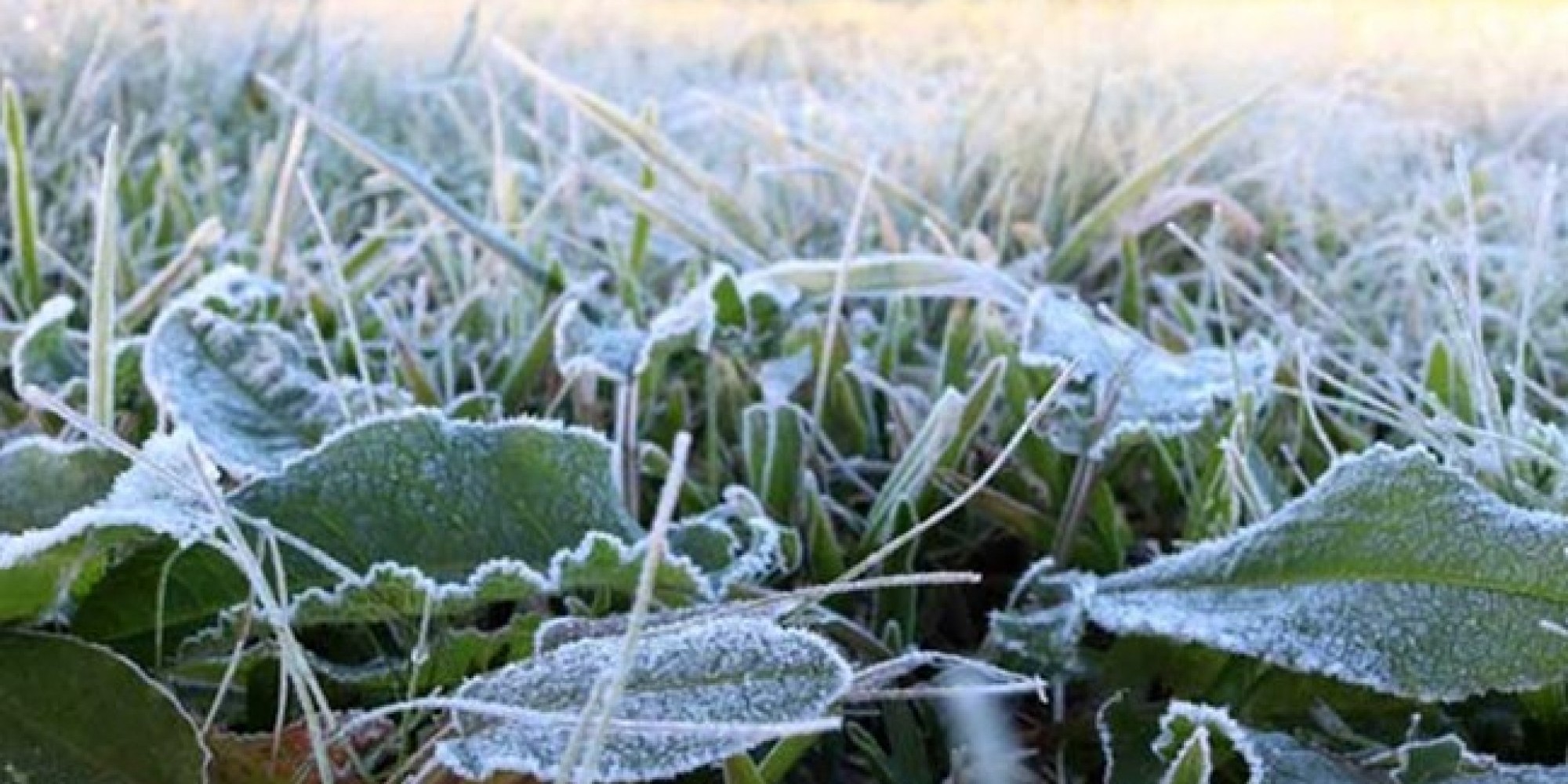 Temperaturas abaixo de 0ºC marcam o amanhecer no RS
