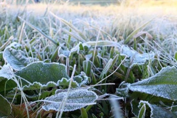 Temperaturas abaixo de 0ºC marcam o amanhecer no RS 