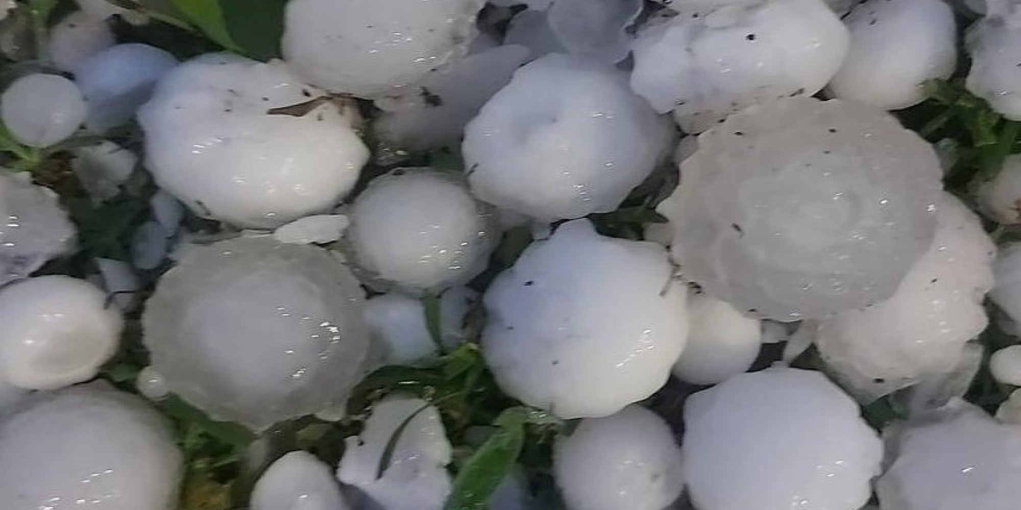 Mais de 60 municípios do Rio Grande do Sul foram atingidos por granizo