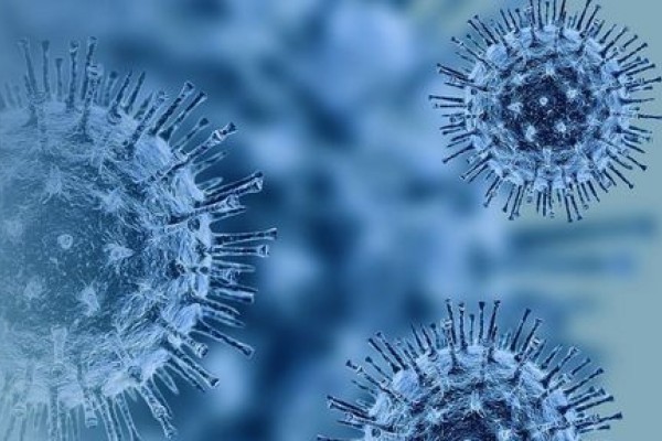 Documento apresenta os resultados do sequenciamento genético de 220 genomas do coronavírus