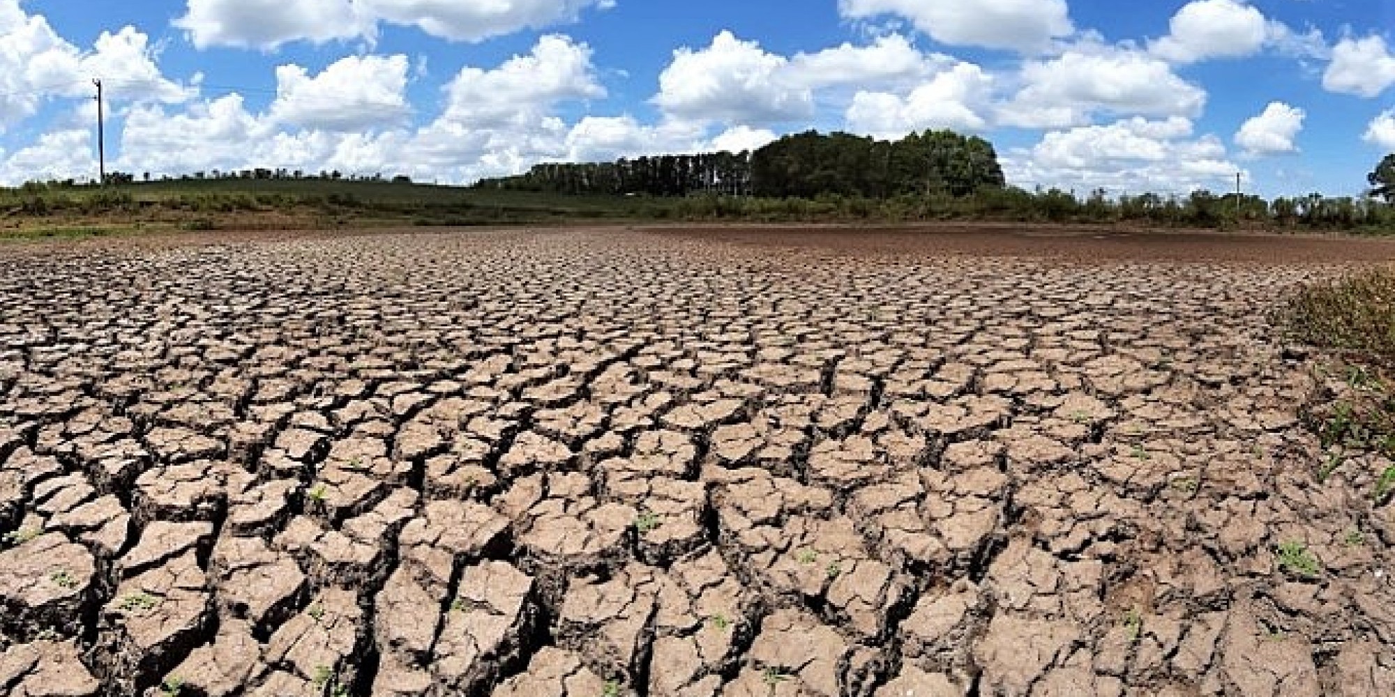 Seca deve comprometer solo para lavouras de verão Seca deve comprometer solo para lavouras de verão