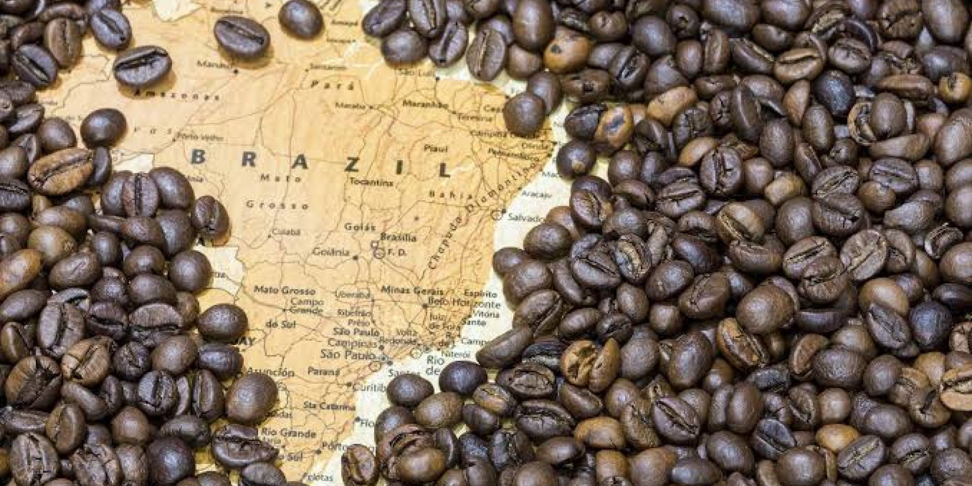Em 2019, as exportações de cafés brasileiros foram 13,9% maiores que em 2018 Em 2019, as exportações de cafés brasileiros foram 13,9% maiores que em 2018