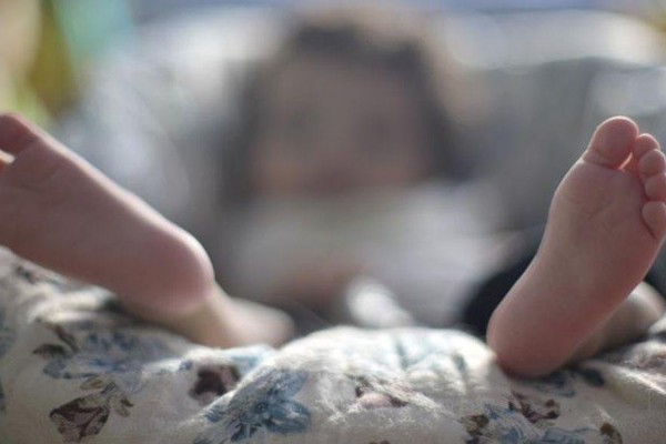 Dados foram divulgados nesta terça-feira