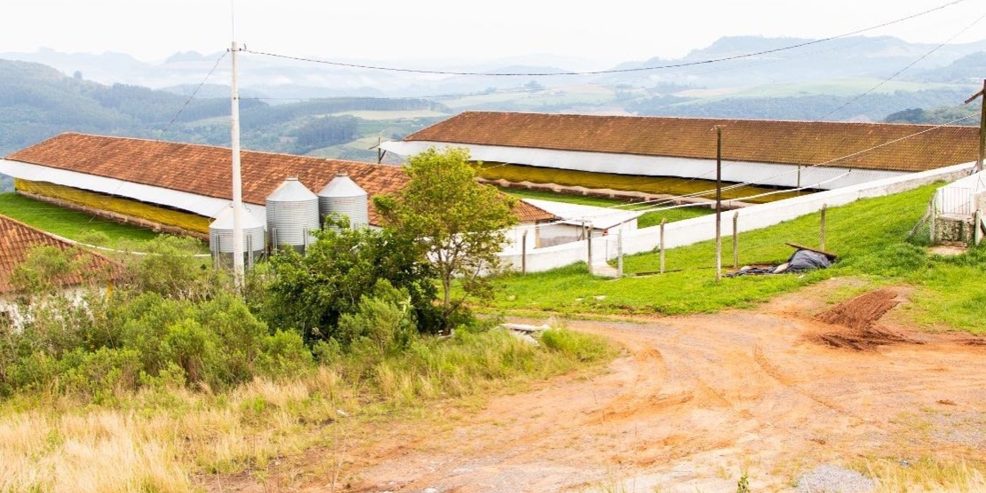 Granja Guaporé destacou-se em 4º lugar no ranking das granjas InGene do Brasil