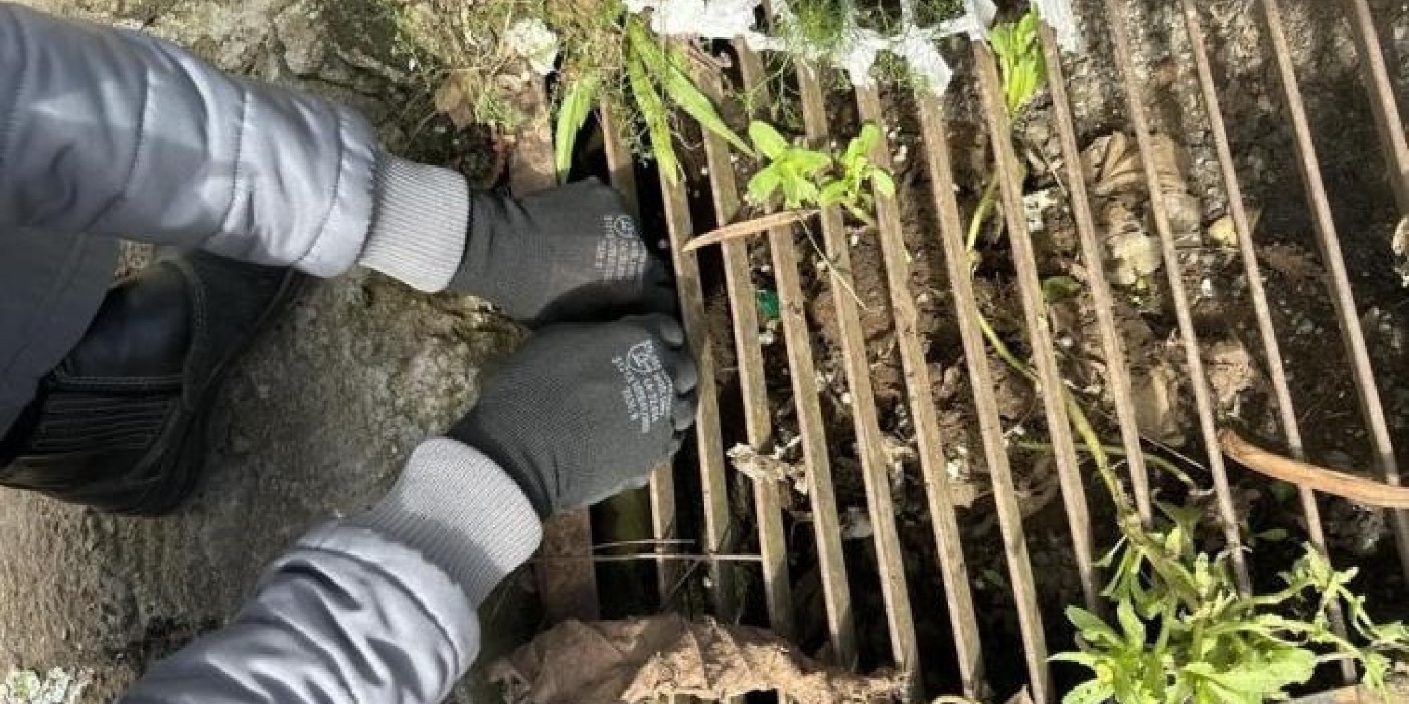 Encantado contabilizou apenas dois casos positivos de Leptospirose