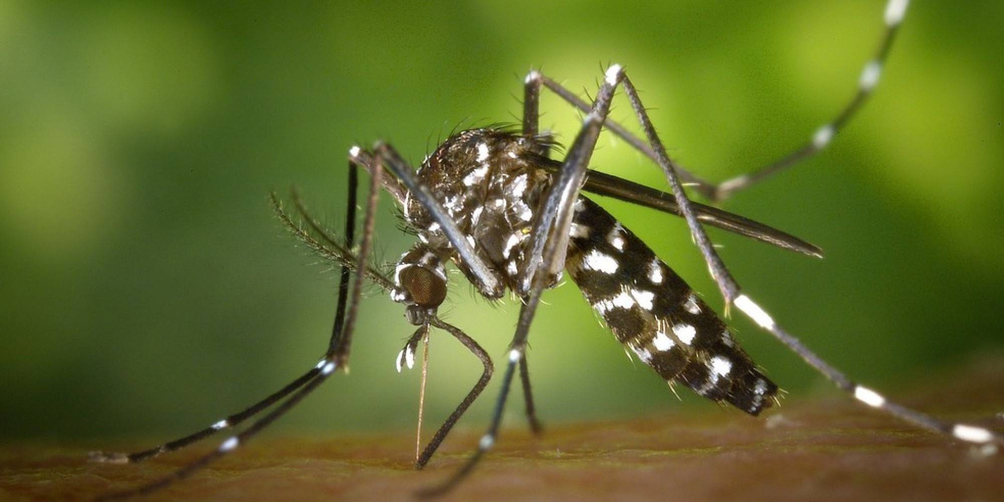 Campanha da Saúde alerta para o perigo da dengue, zika e chikungunya