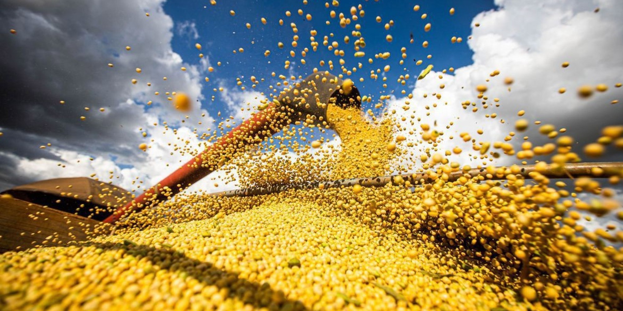 Produção de grãos chegará a 390 milhões de toneladas em 10 anos, diz Ministério da Agricultura