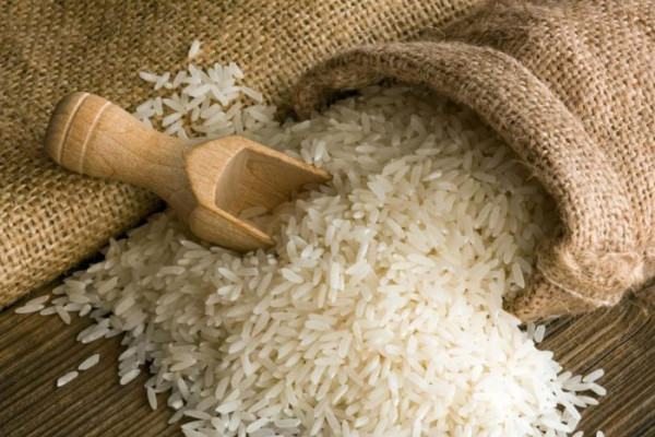 Sete produtos das lavouras puxaram o VBP deste ano em relação ao ano passado, entre eles o arroz 