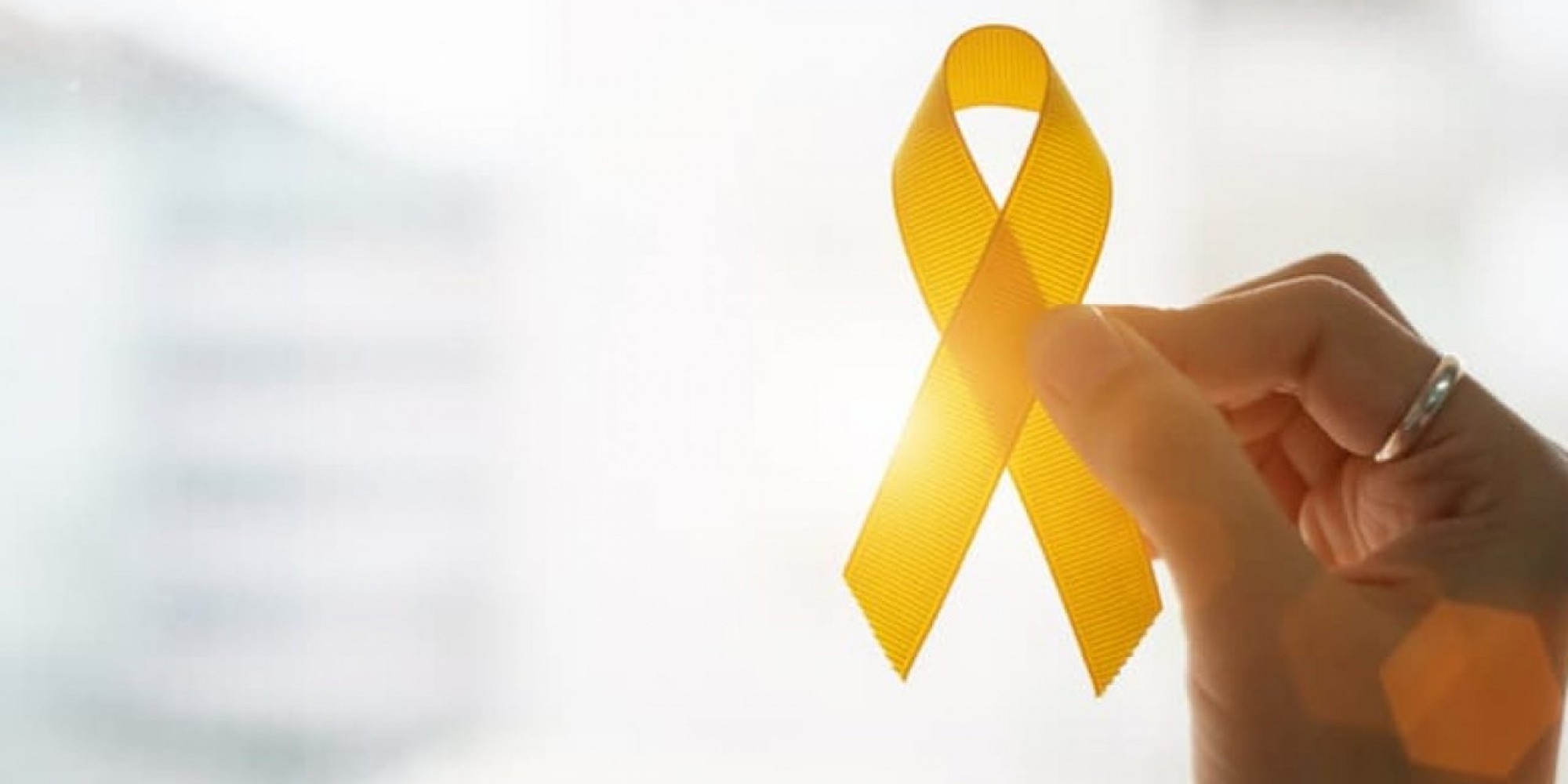 A programação em 2020 será exclusivamente digital, devido à pandemia do novo coronavírus 