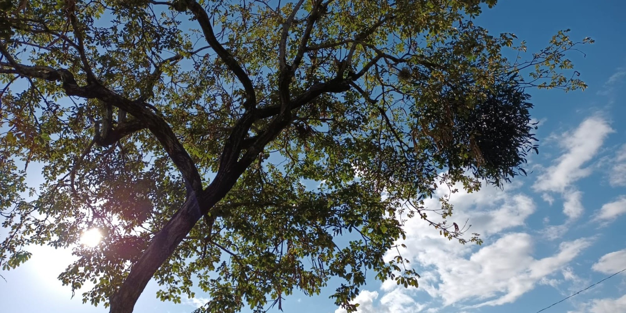 As máximas podem chegar aos 22ºC na região As máximas podem chegar aos 22ºC na região