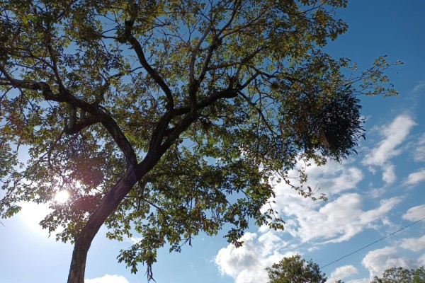 A temperatura deve cair rapidamente entre a tarde e a noite