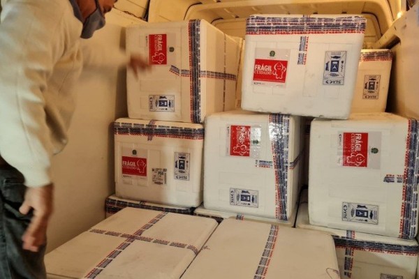 Vacinas serão distribuídas amanhã 