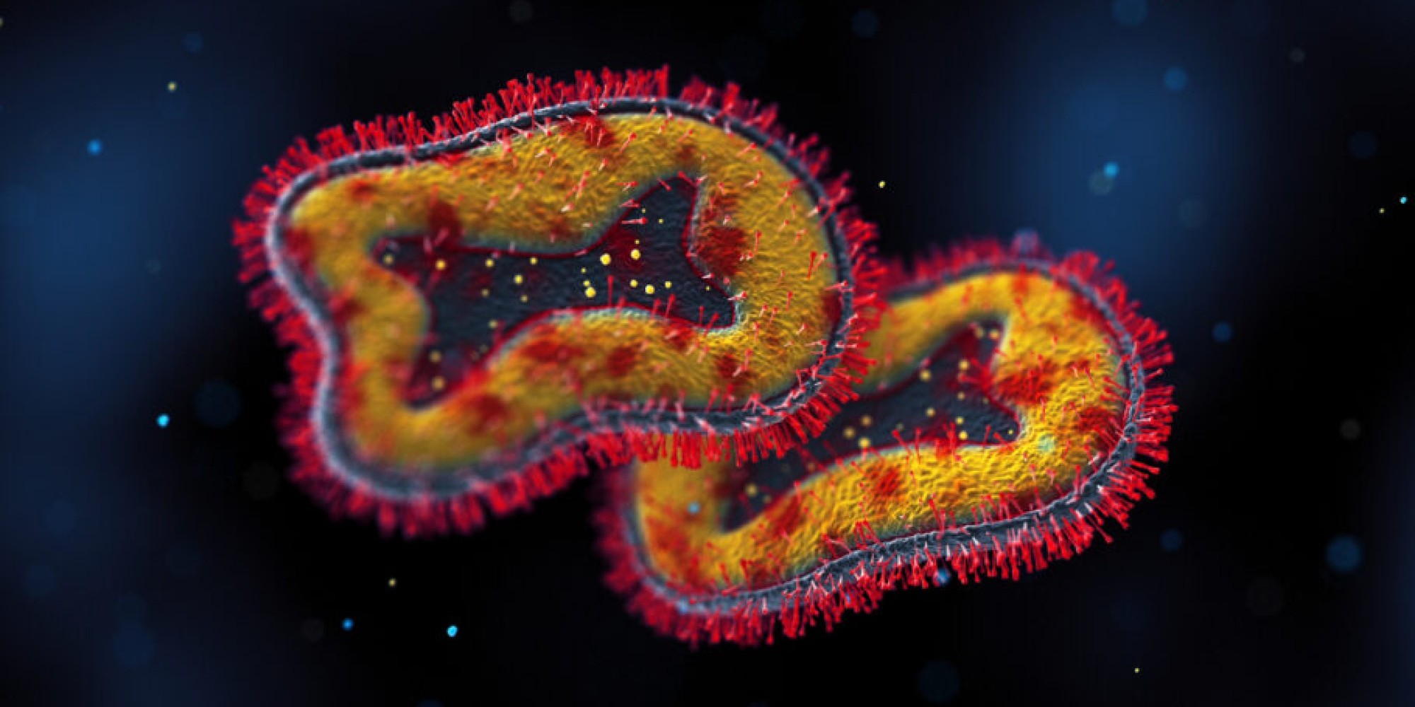 OMS alerta que risco de surto mundial de varíola do macaco é real