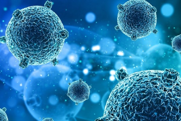 Quase 600 internações e 5 mortes no RS pelo vírus sincicial 