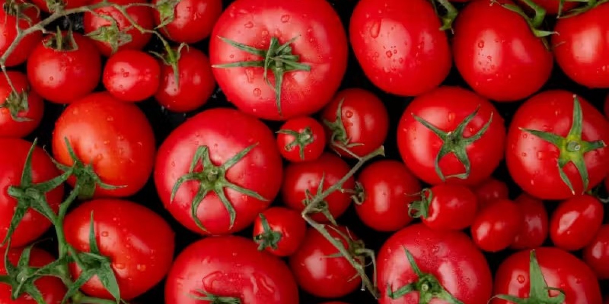Tomate faz bem para o coração e ajuda na prevenção de doenças