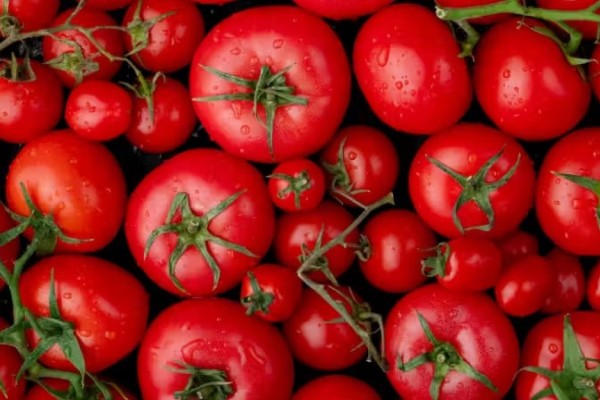 Tomate faz bem para o coração e ajuda na prevenção de doenças